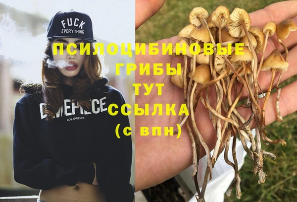 mdma Волосово