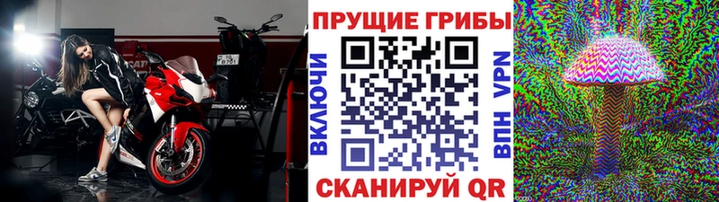 Галлюциногенные грибы ЛСД  Калачинск 